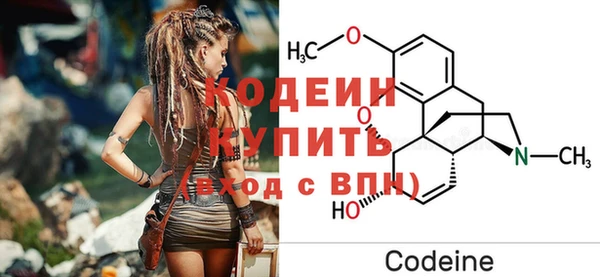 СК Бронницы
