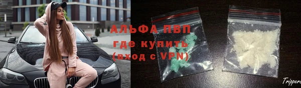 СК Бронницы
