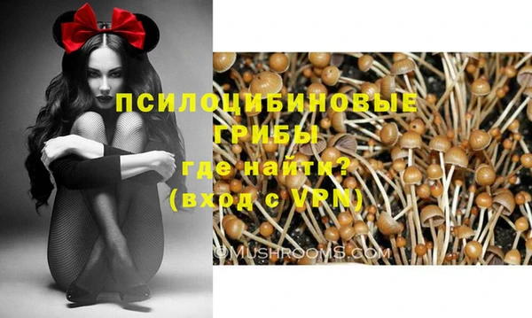 СК Бронницы