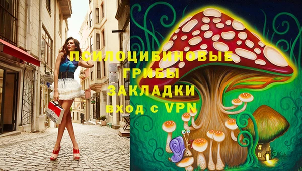 СК Бронницы