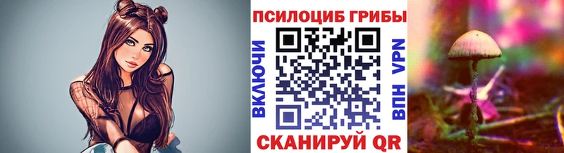 Галлюциногенные грибы прущие грибы  Купить  Волжск 